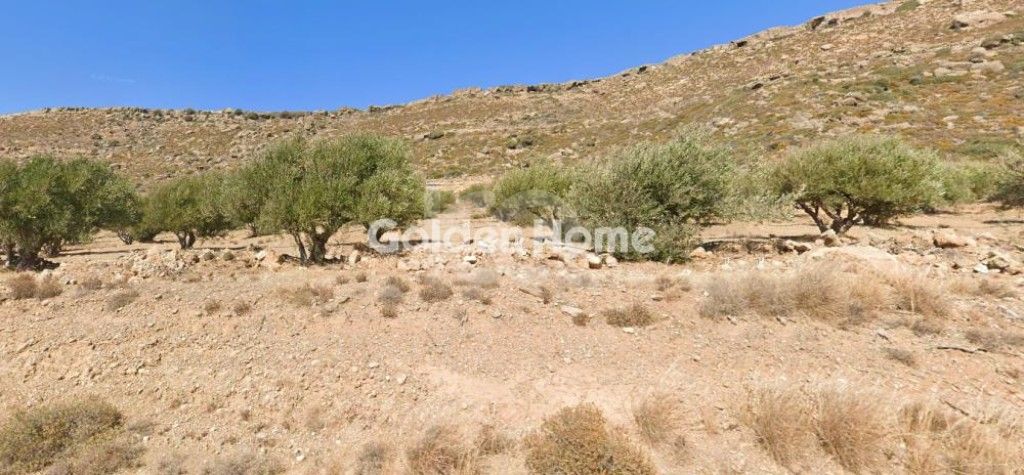 εικόνα αγγελίας