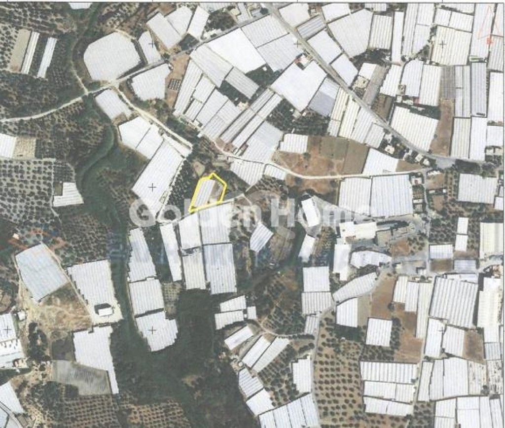 εικόνα αγγελίας