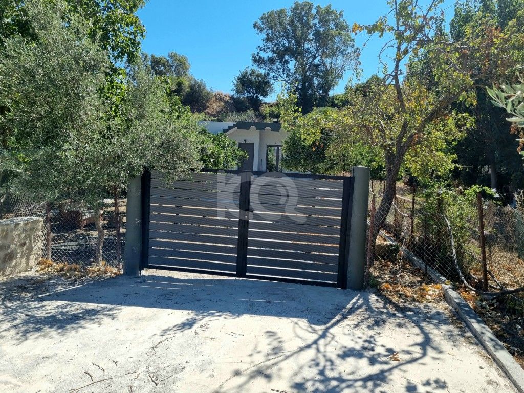 εικόνα αγγελίας