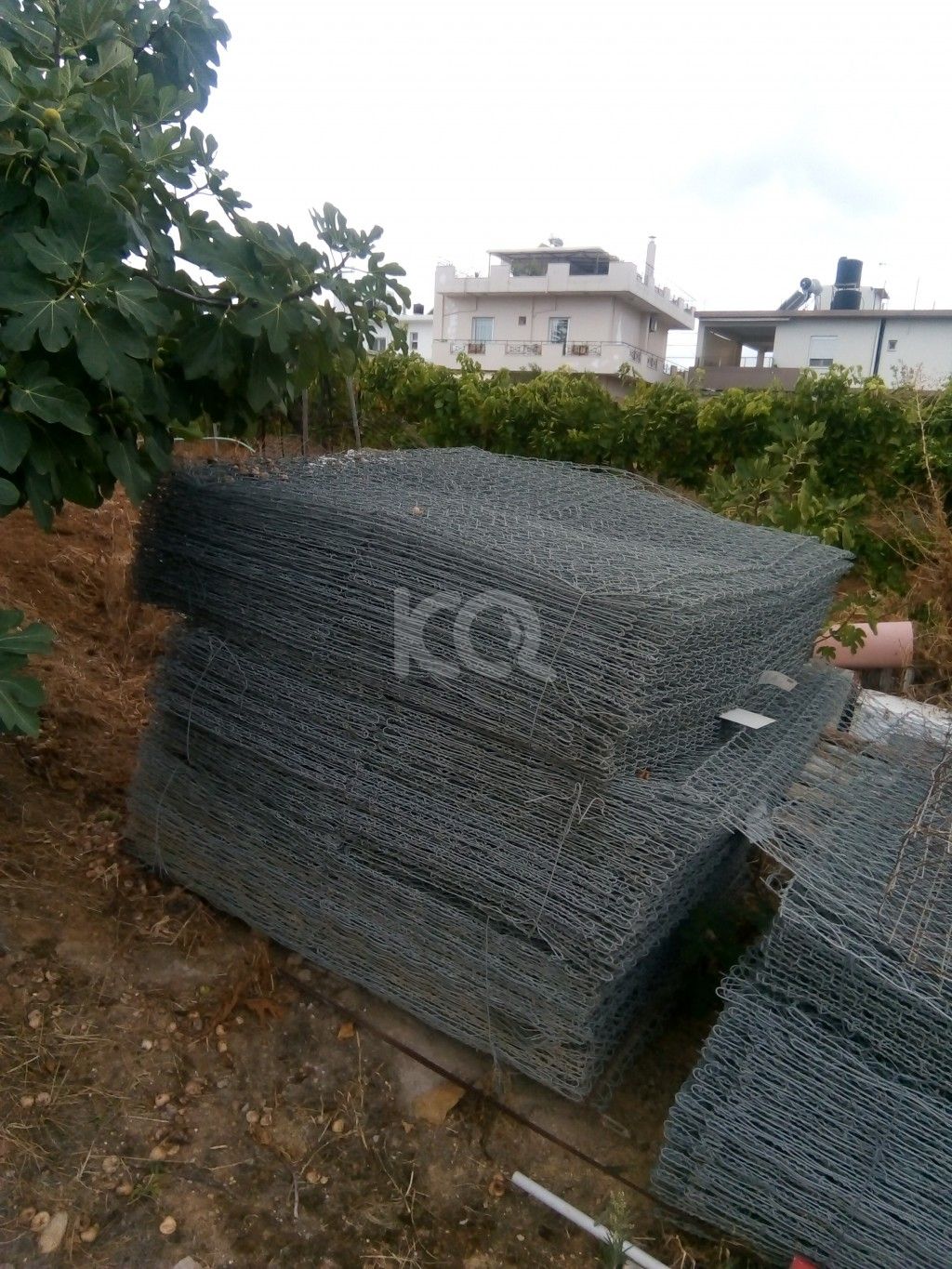 εικόνα αγγελίας