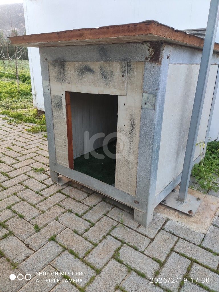 εικόνα αγγελίας