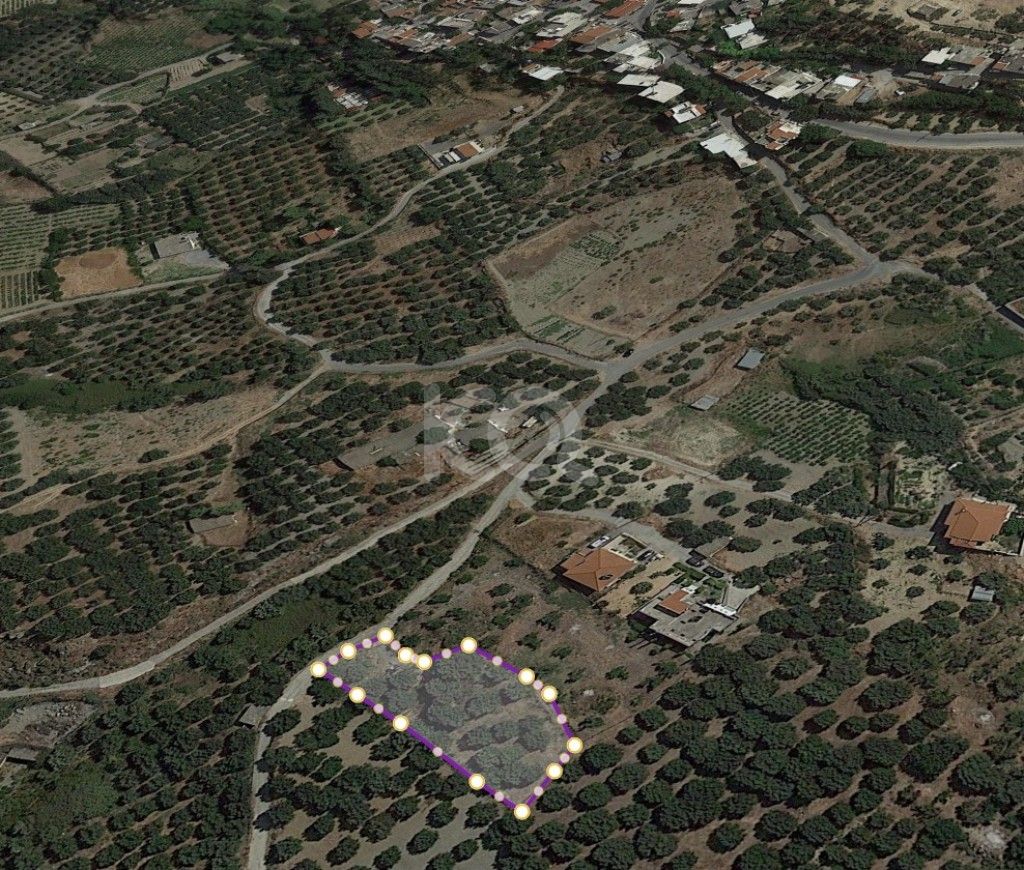 εικόνα αγγελίας