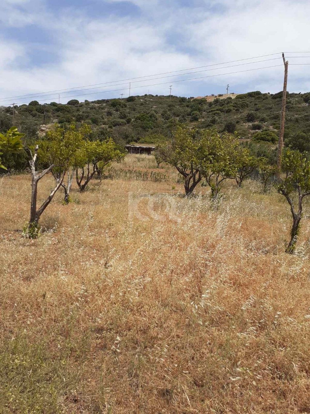 εικόνα αγγελίας