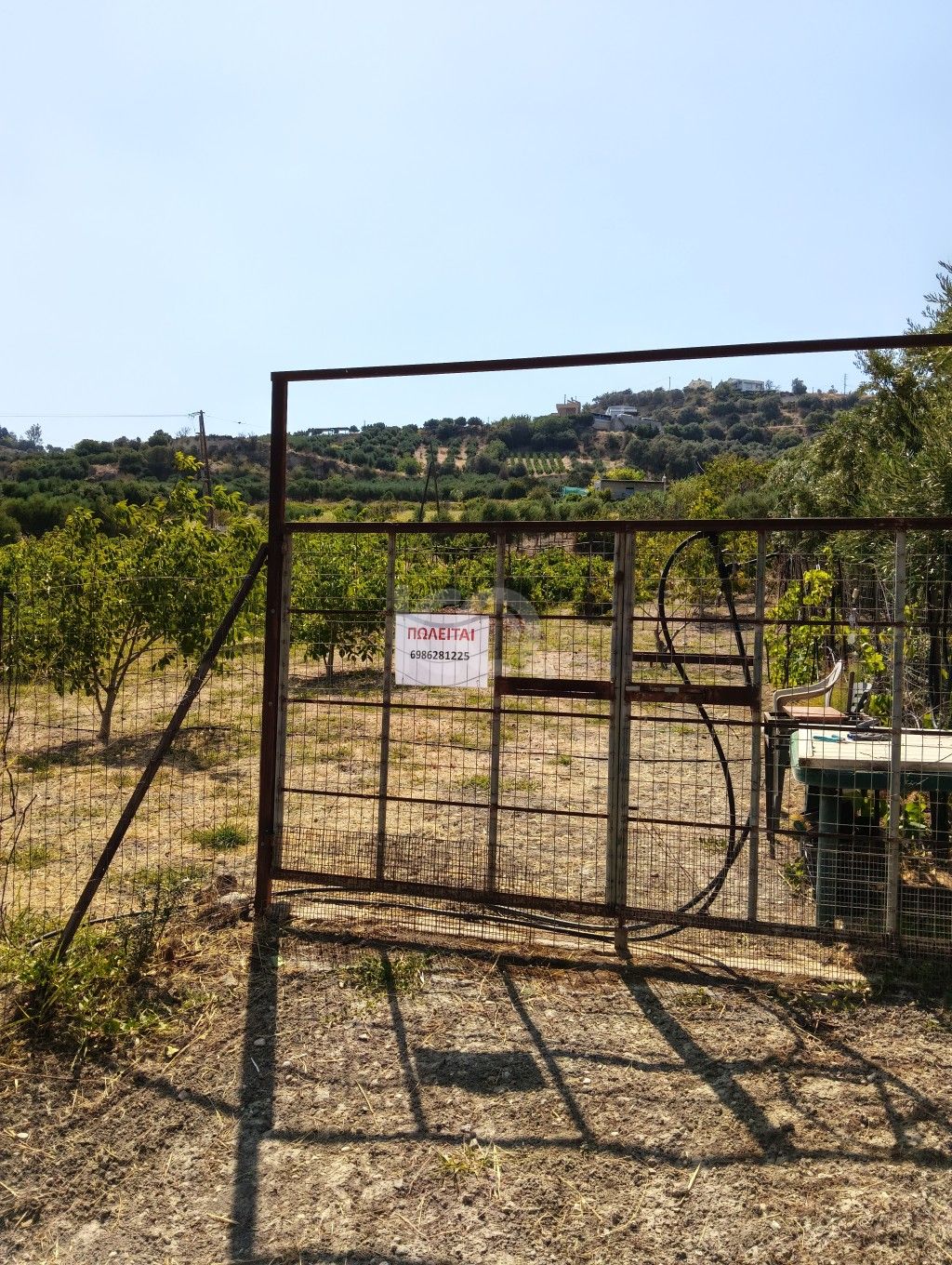 εικόνα αγγελίας