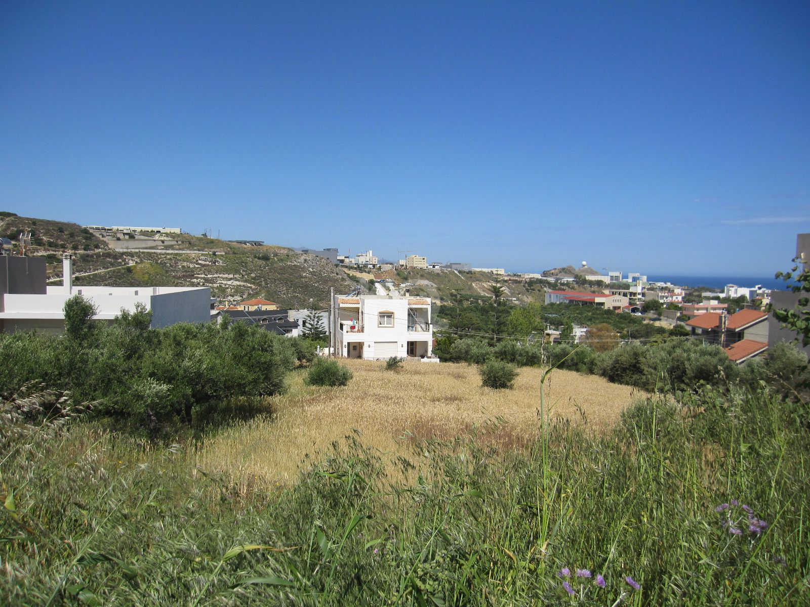 εικόνα αγγελίας