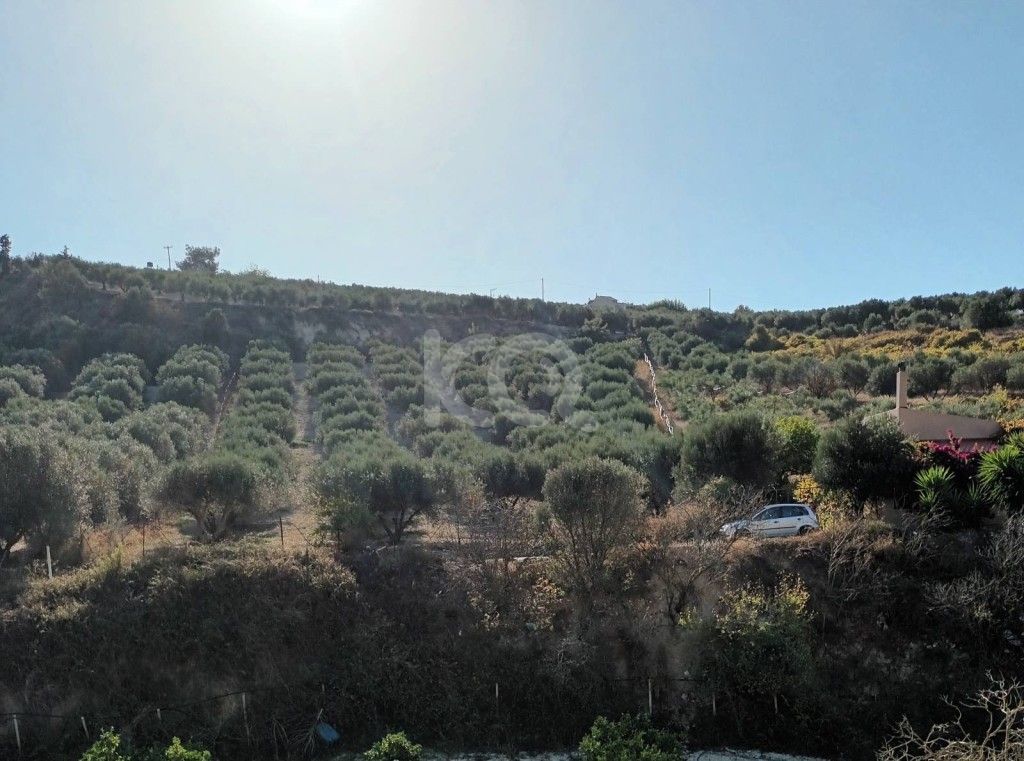 εικόνα αγγελίας