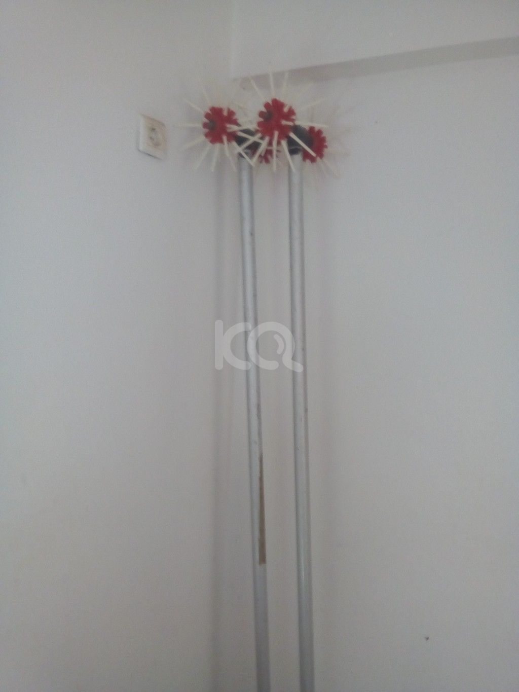 εικόνα αγγελίας