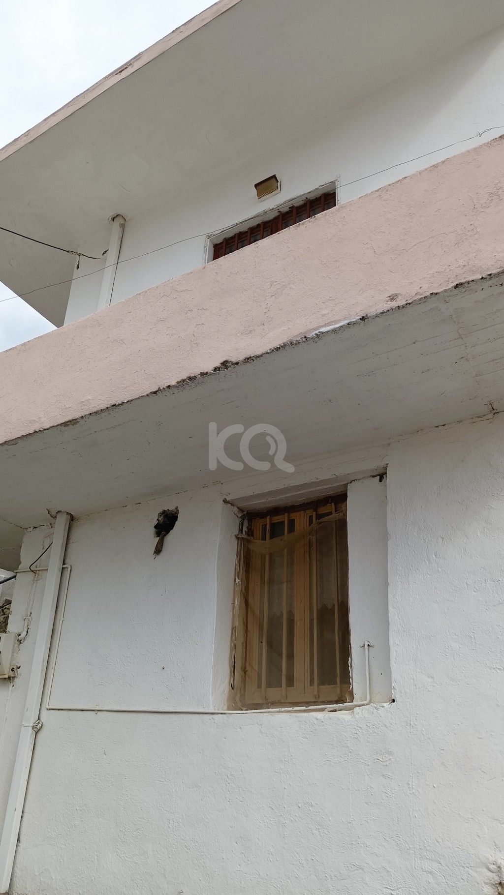 εικόνα αγγελίας