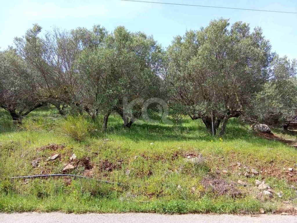 εικόνα αγγελίας