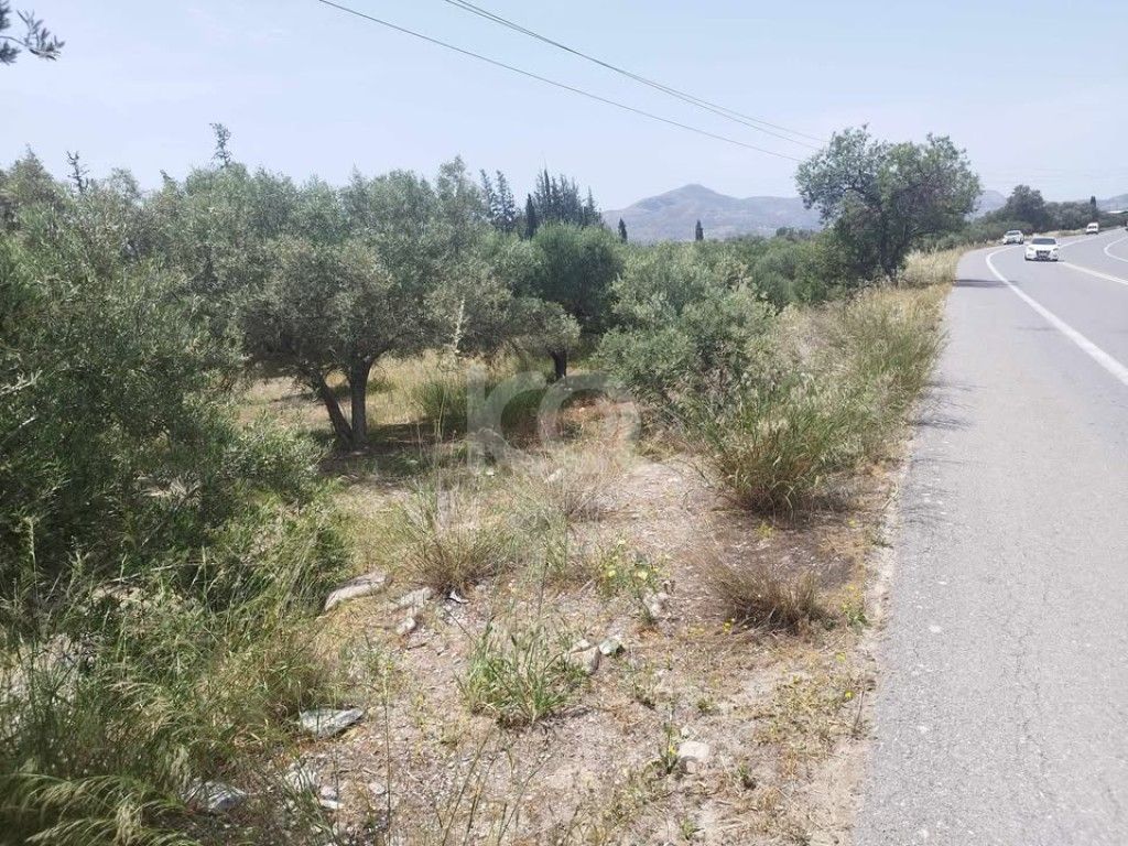 εικόνα αγγελίας