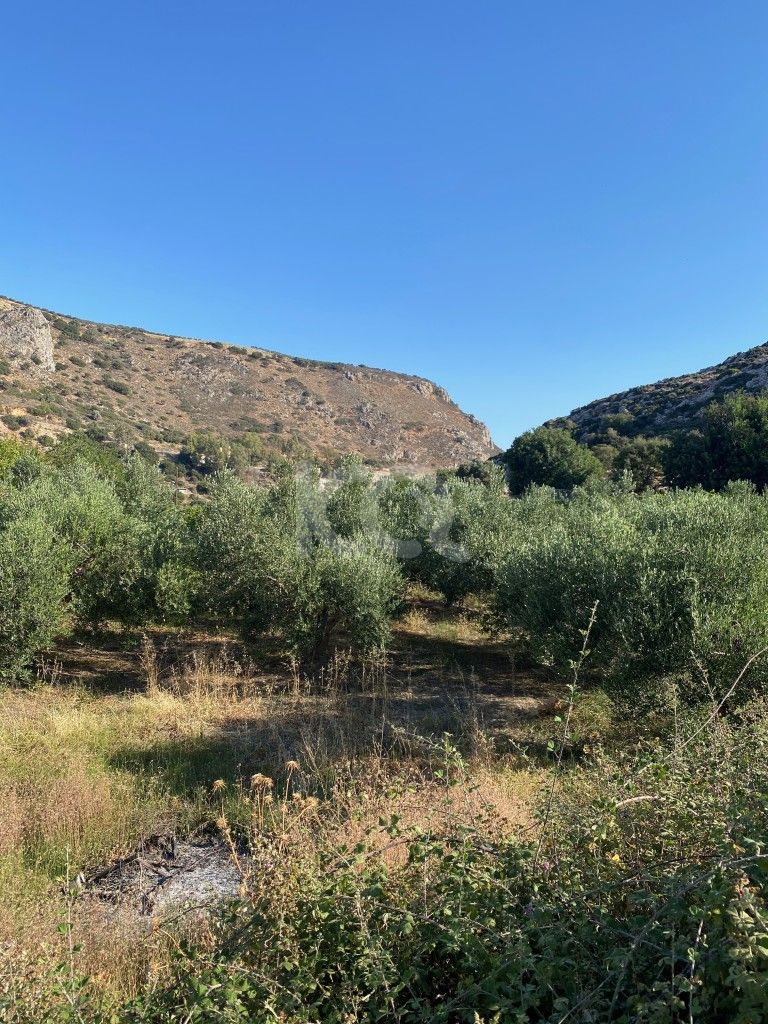 εικόνα αγγελίας