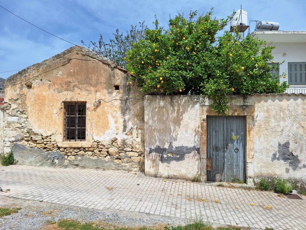 εικόνα αγγελίας