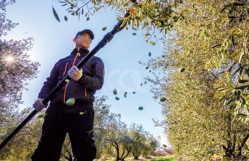 εικόνα αγγελίας