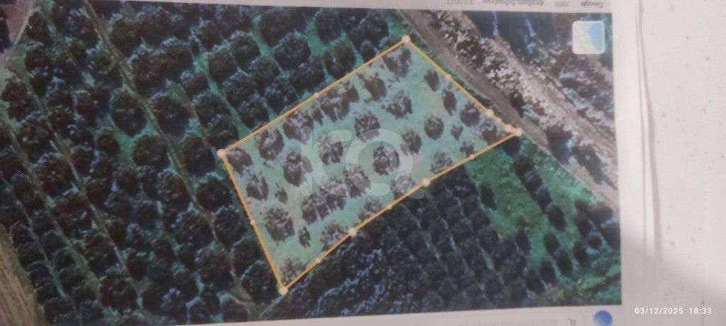 εικόνα αγγελίας