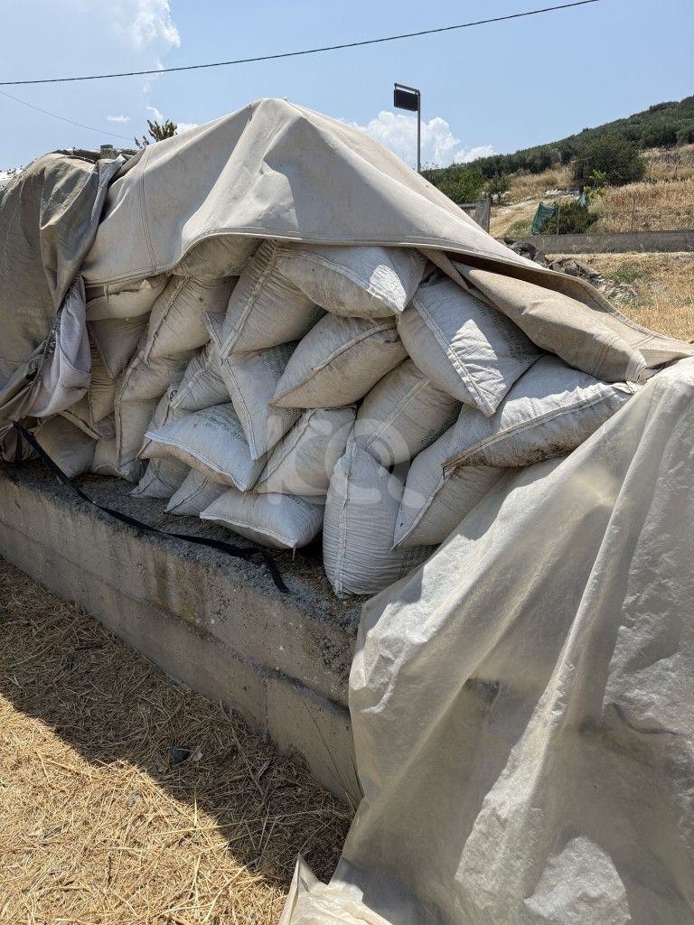 εικόνα αγγελίας