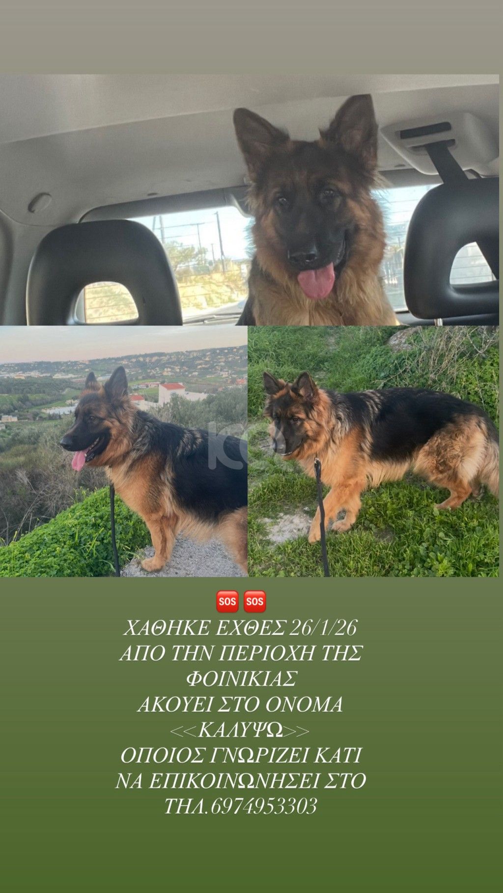 εικόνα αγγελίας