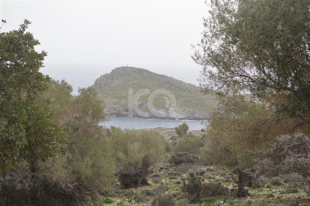 εικόνα αγγελίας