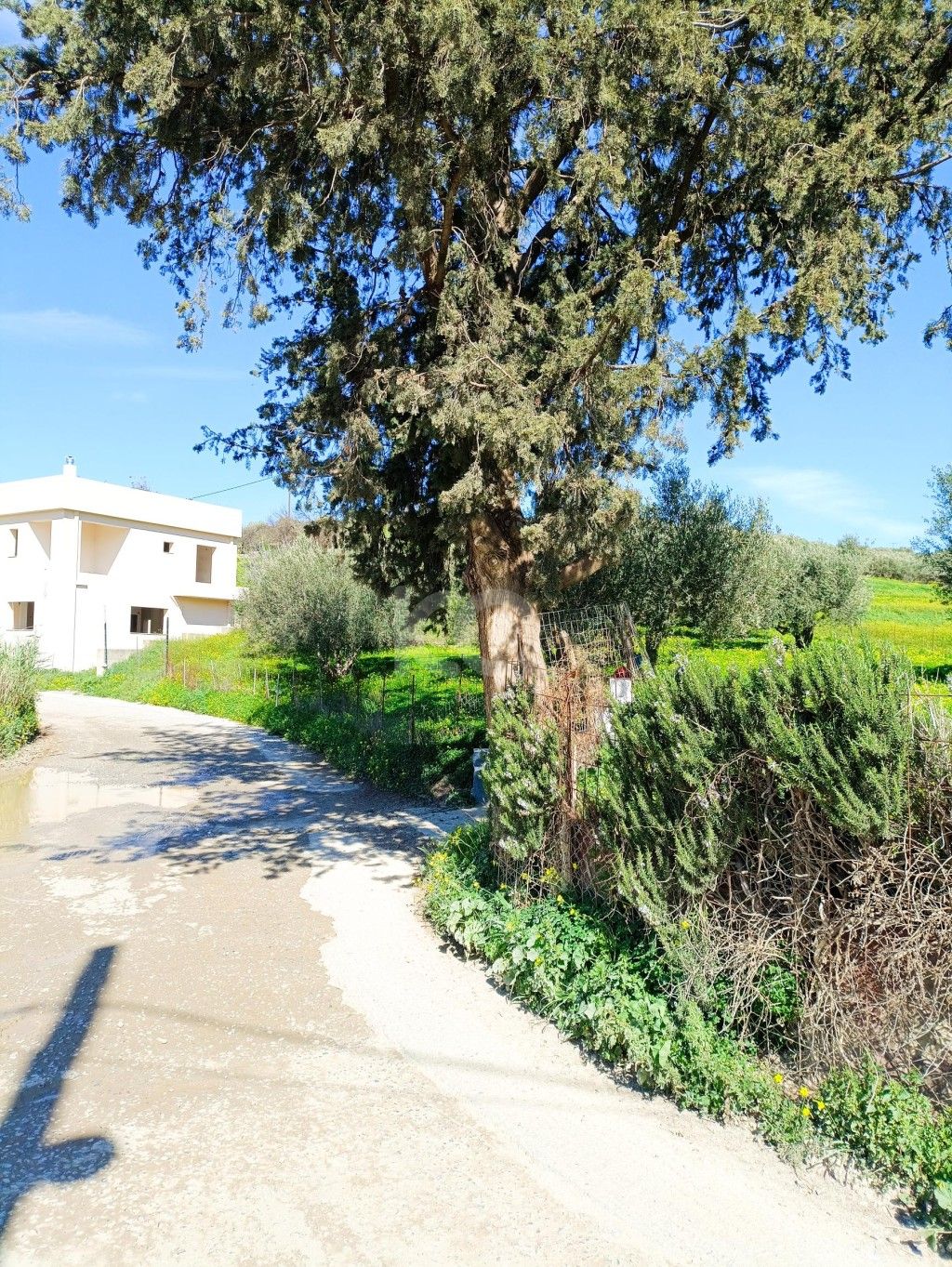 εικόνα αγγελίας