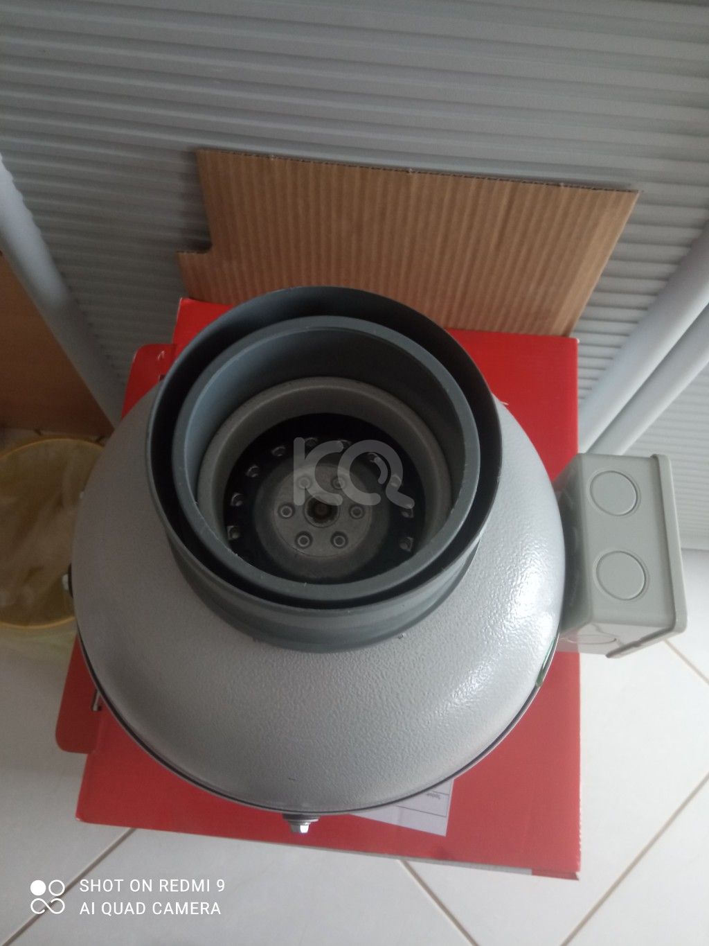 εικόνα αγγελίας