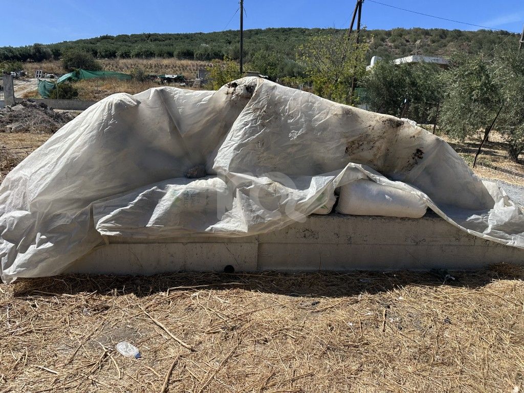 εικόνα αγγελίας