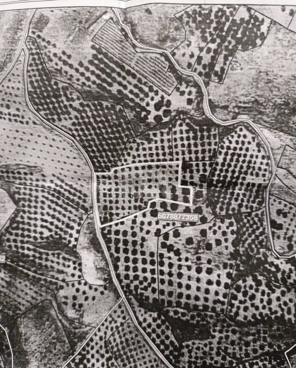 εικόνα αγγελίας