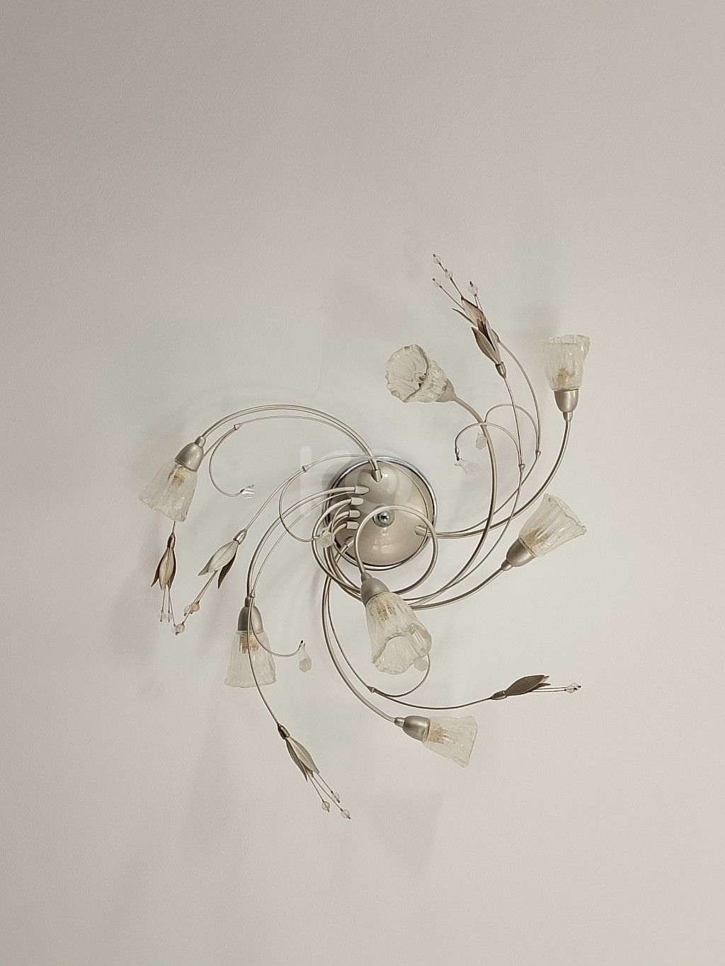 εικόνα αγγελίας