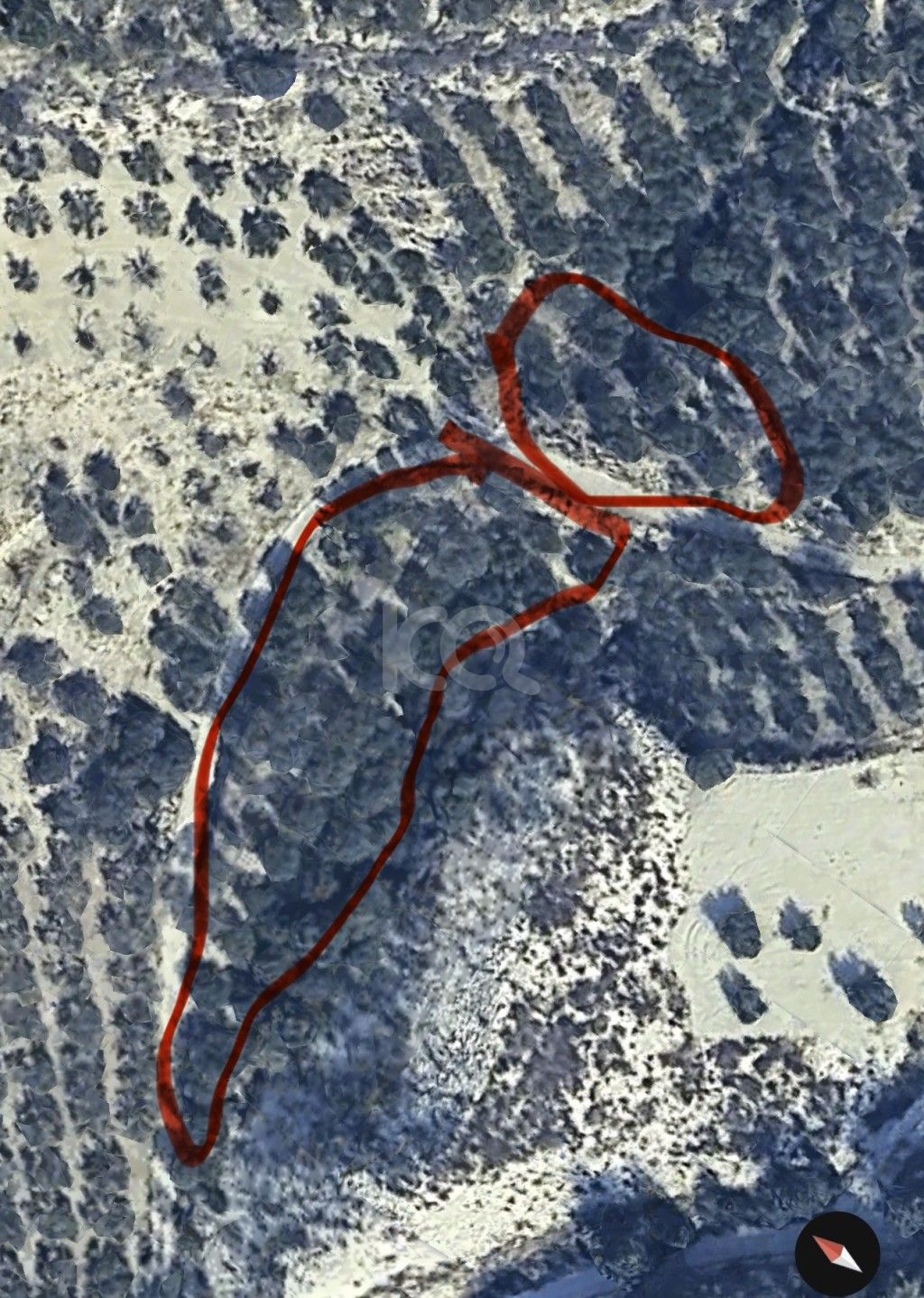 εικόνα αγγελίας