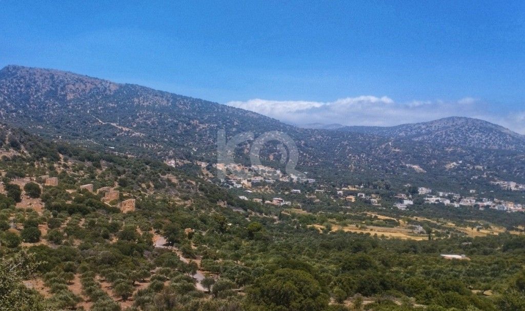 εικόνα αγγελίας