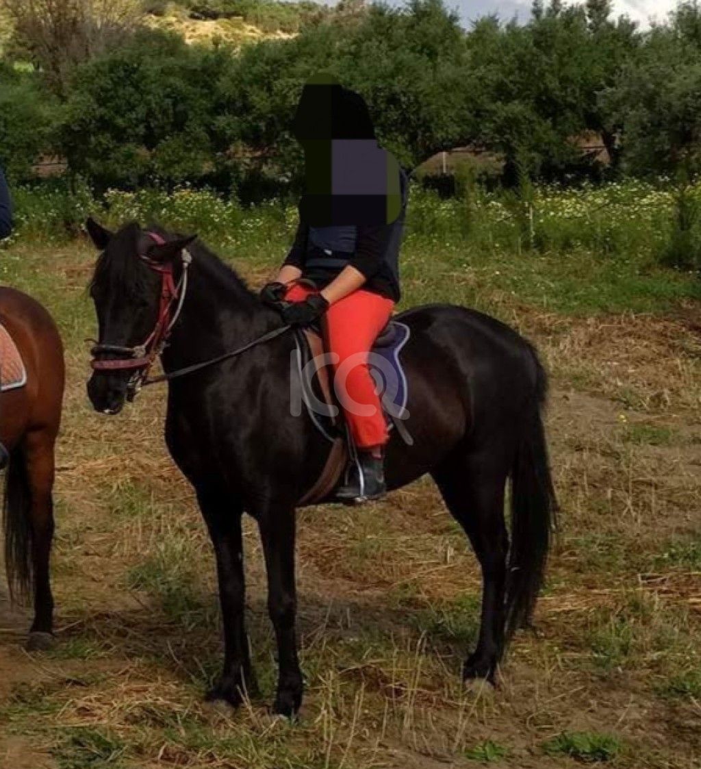 εικόνα αγγελίας