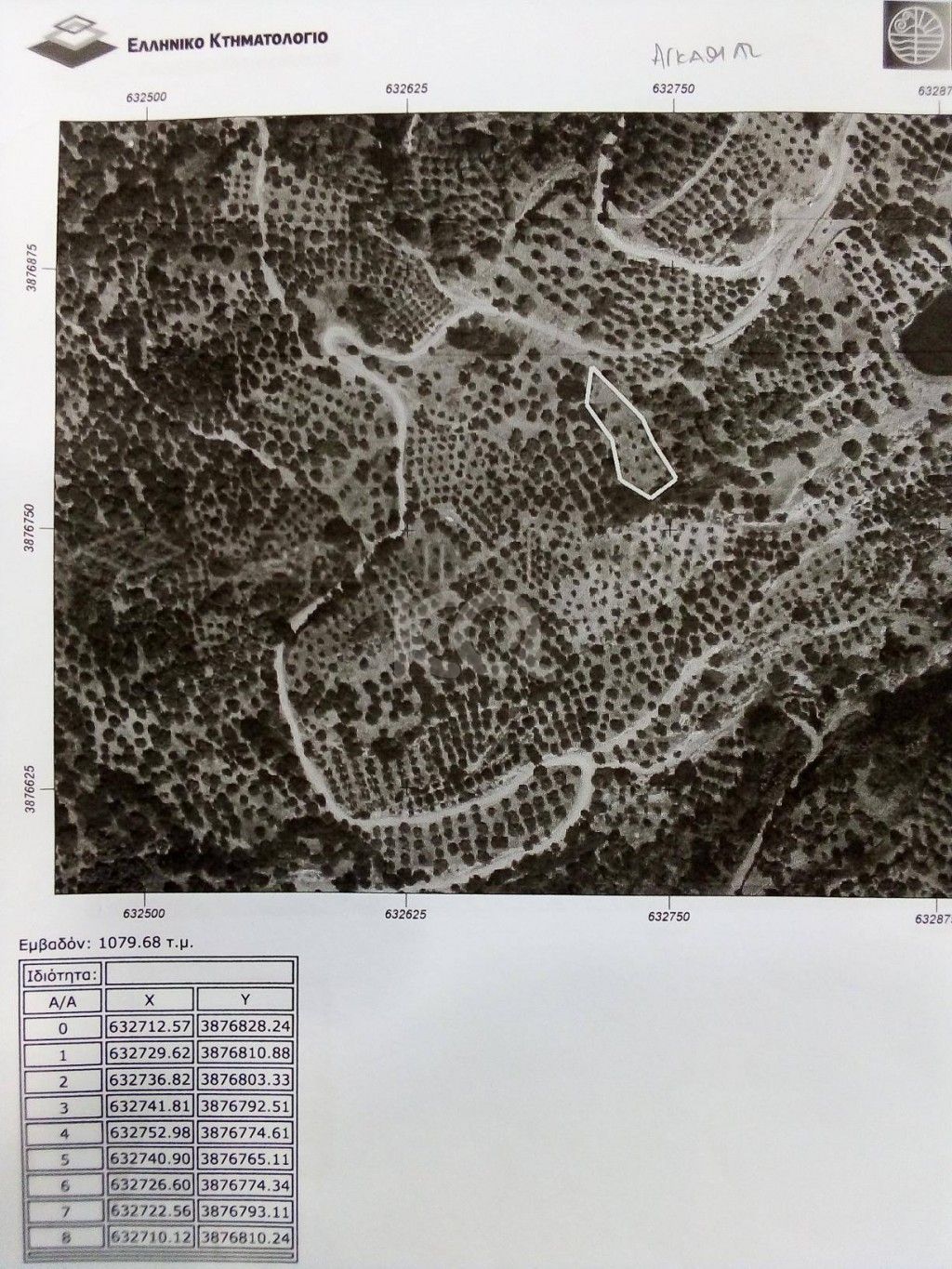 εικόνα αγγελίας