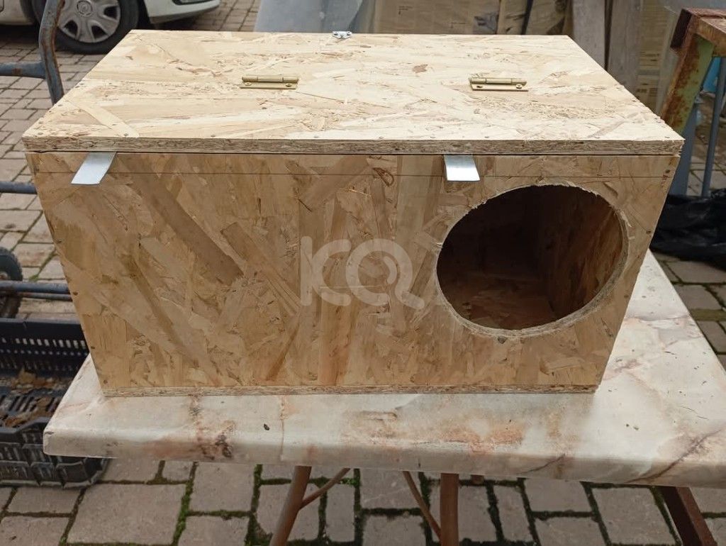 εικόνα αγγελίας