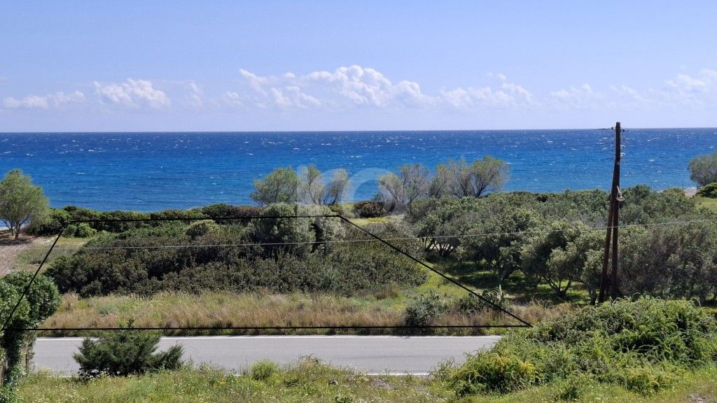 εικόνα αγγελίας