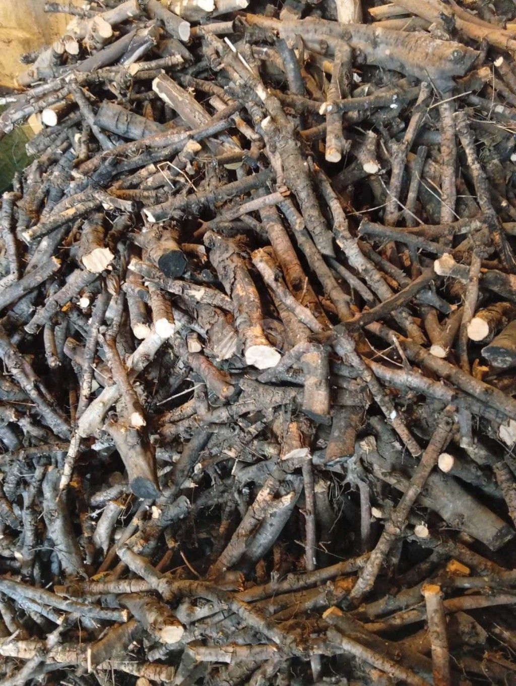 εικόνα αγγελίας