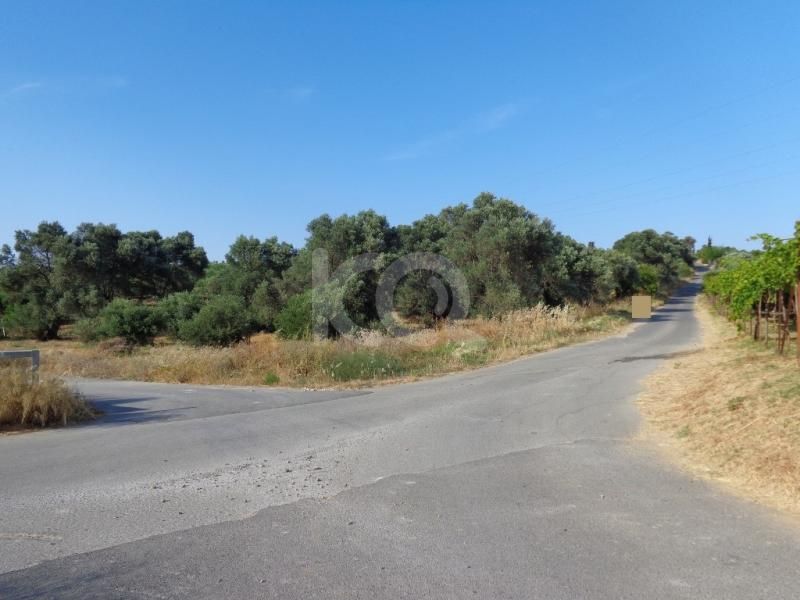 εικόνα αγγελίας