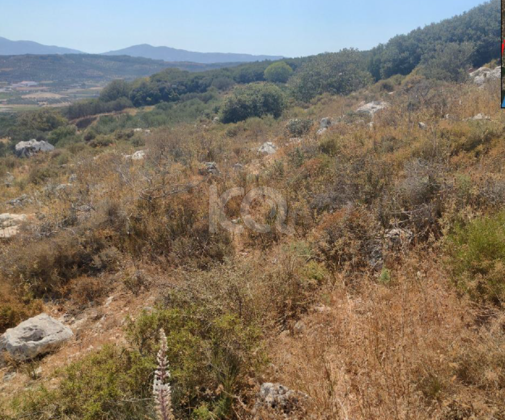 εικόνα αγγελίας