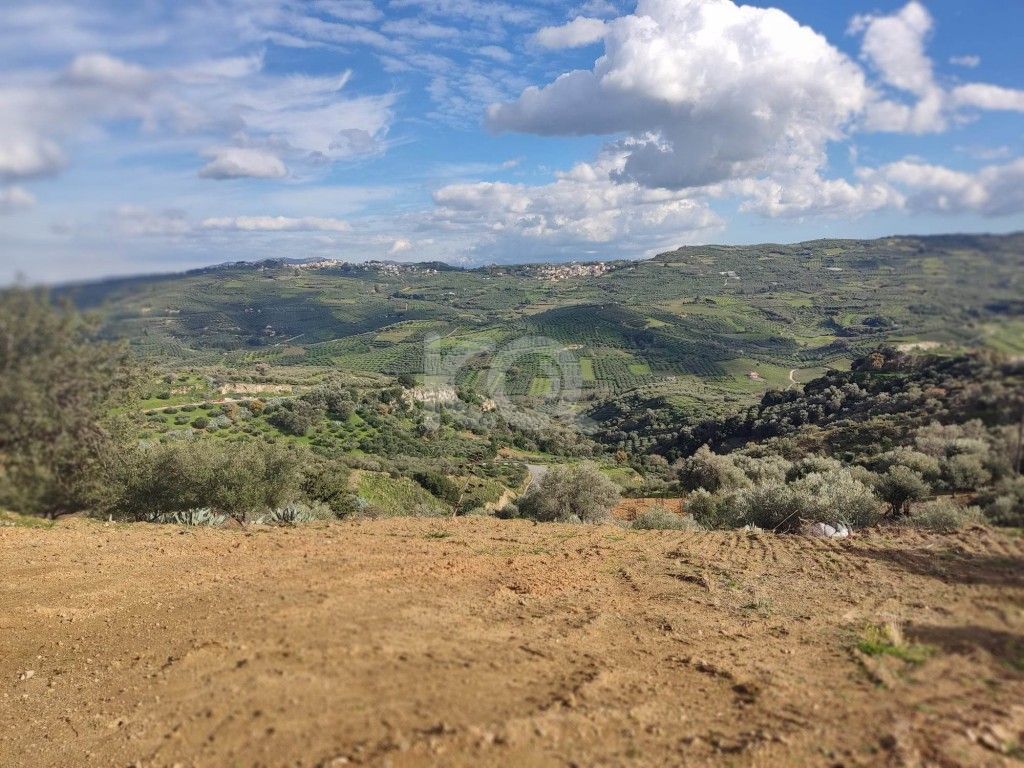 εικόνα αγγελίας