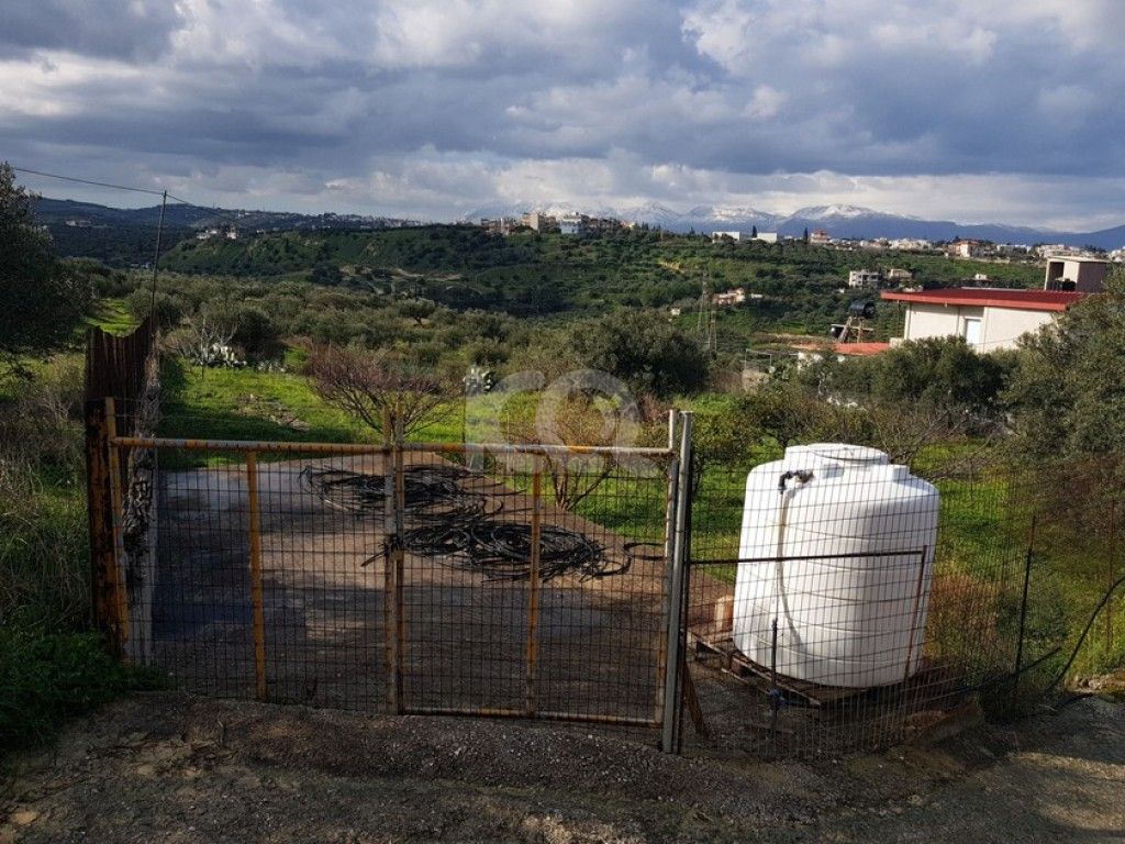 εικόνα αγγελίας