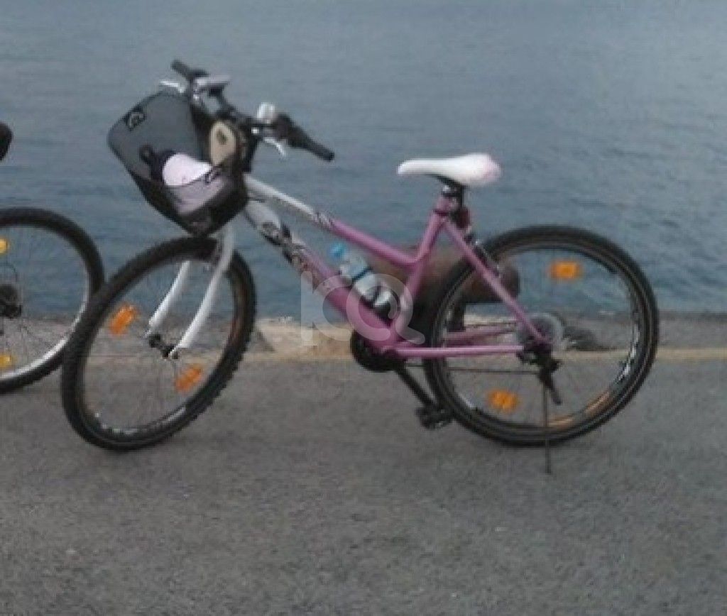 εικόνα αγγελίας