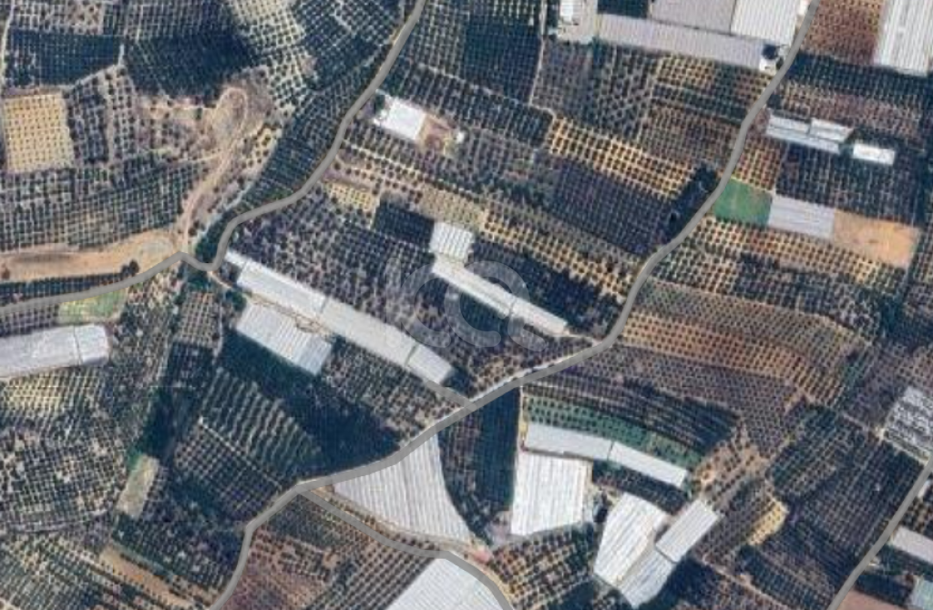 εικόνα αγγελίας