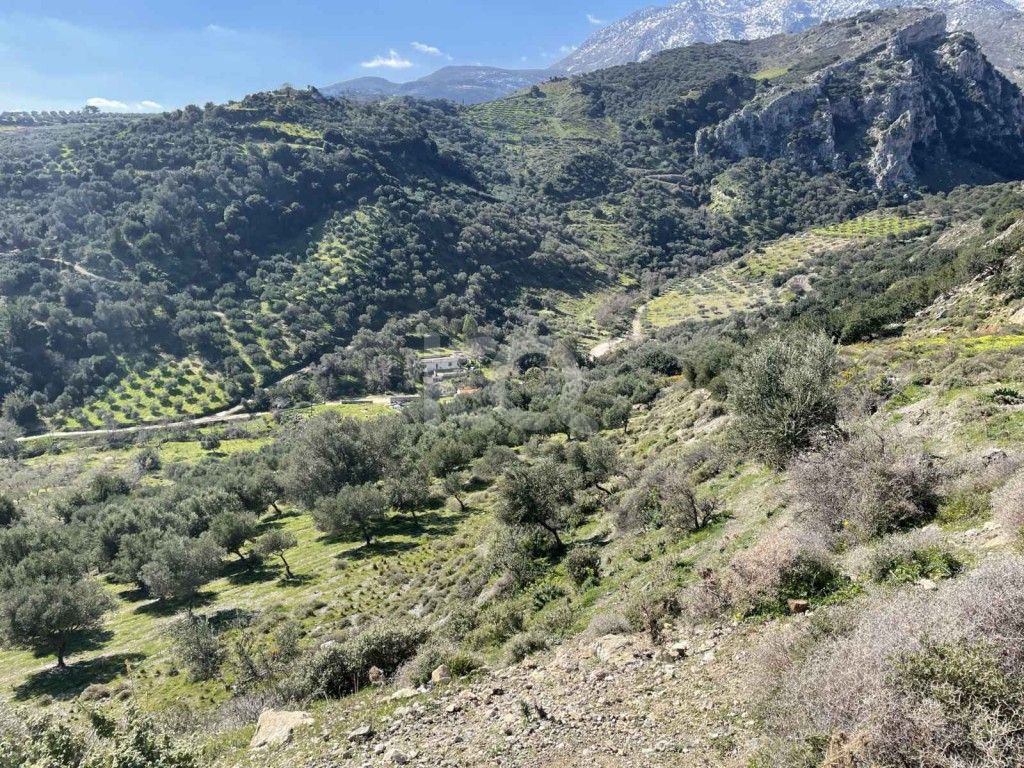 εικόνα αγγελίας