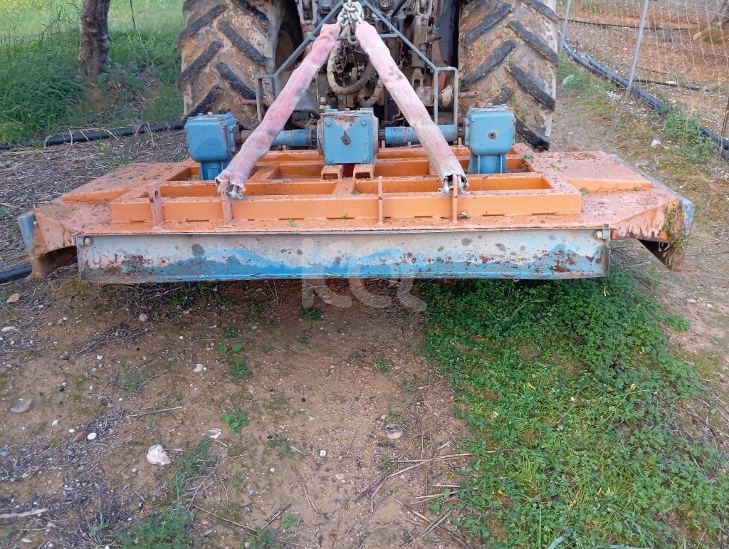 εικόνα αγγελίας