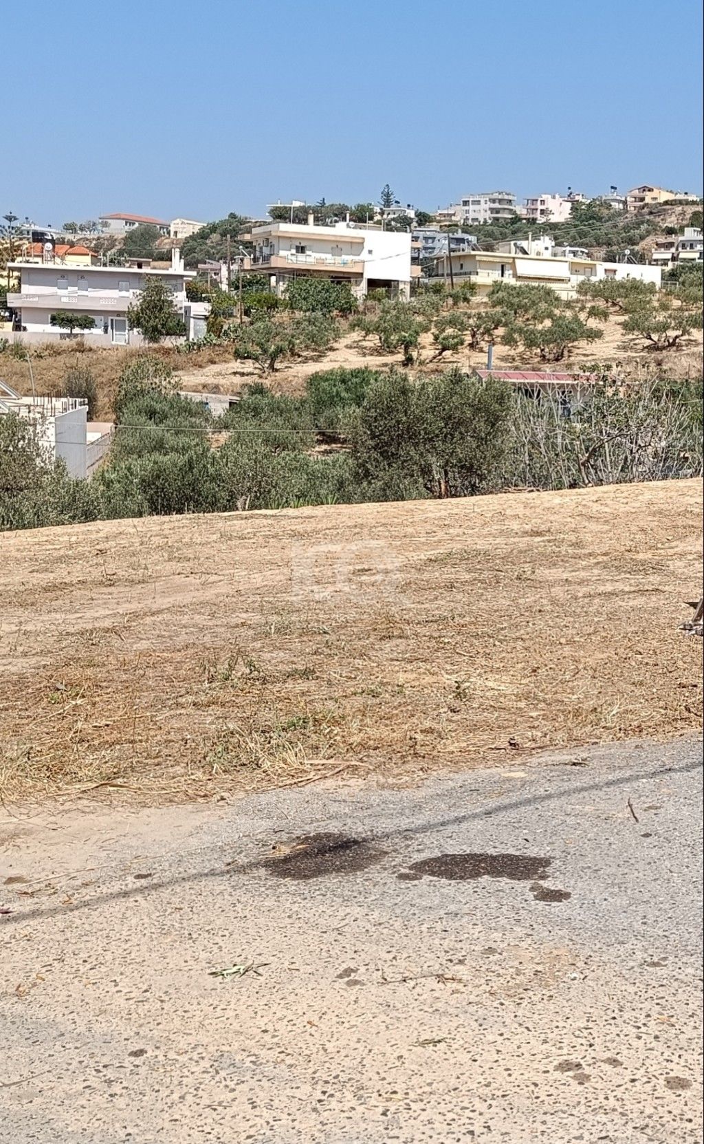 εικόνα αγγελίας