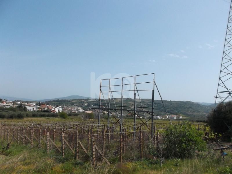 εικόνα αγγελίας