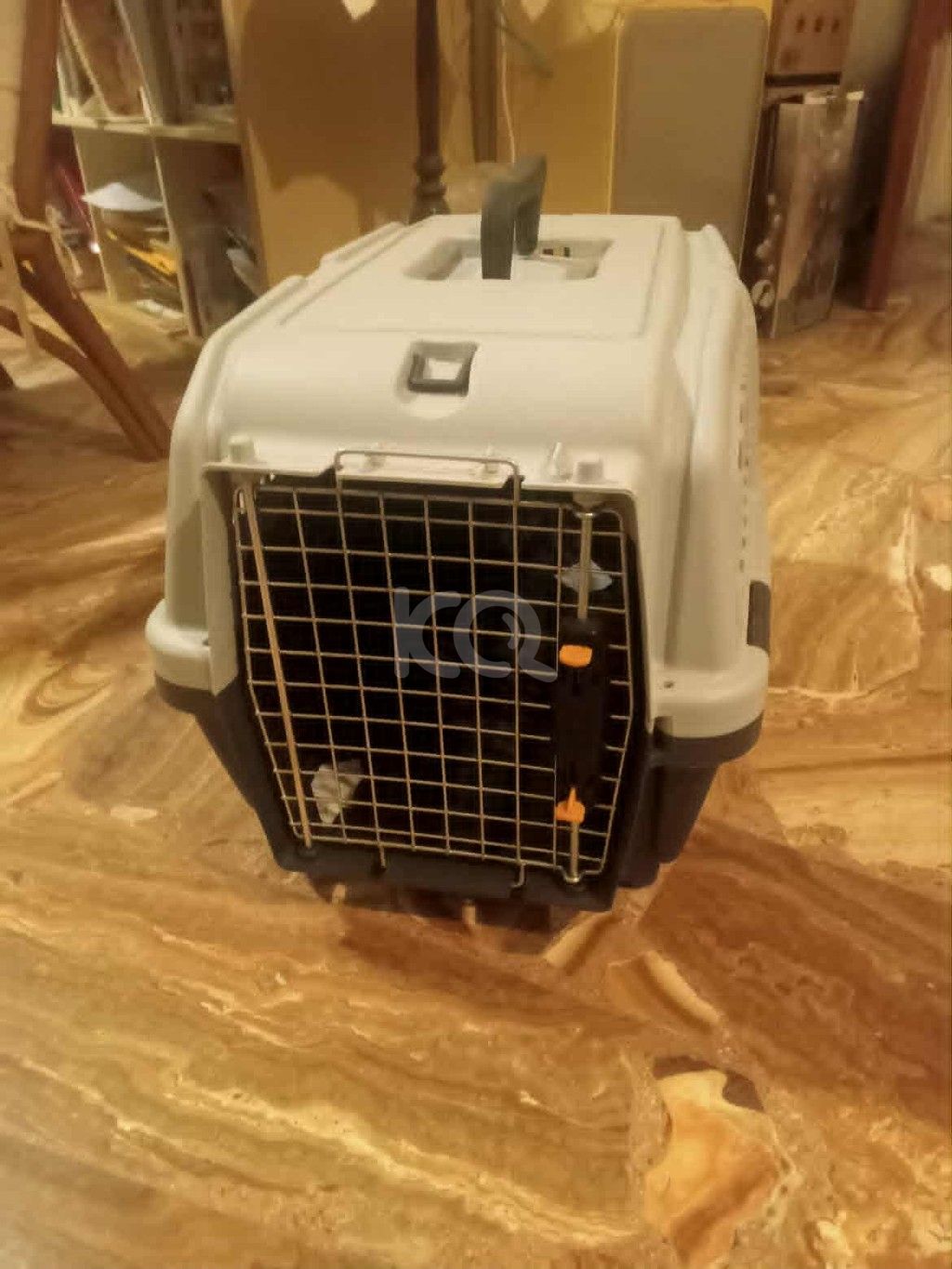 εικόνα αγγελίας