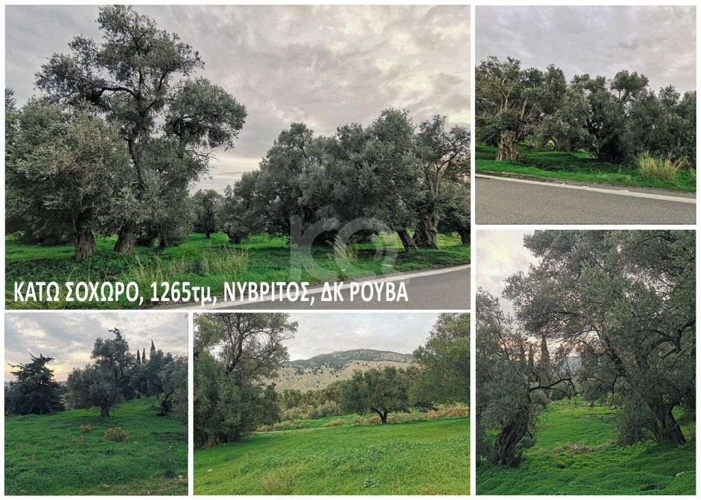 εικόνα αγγελίας