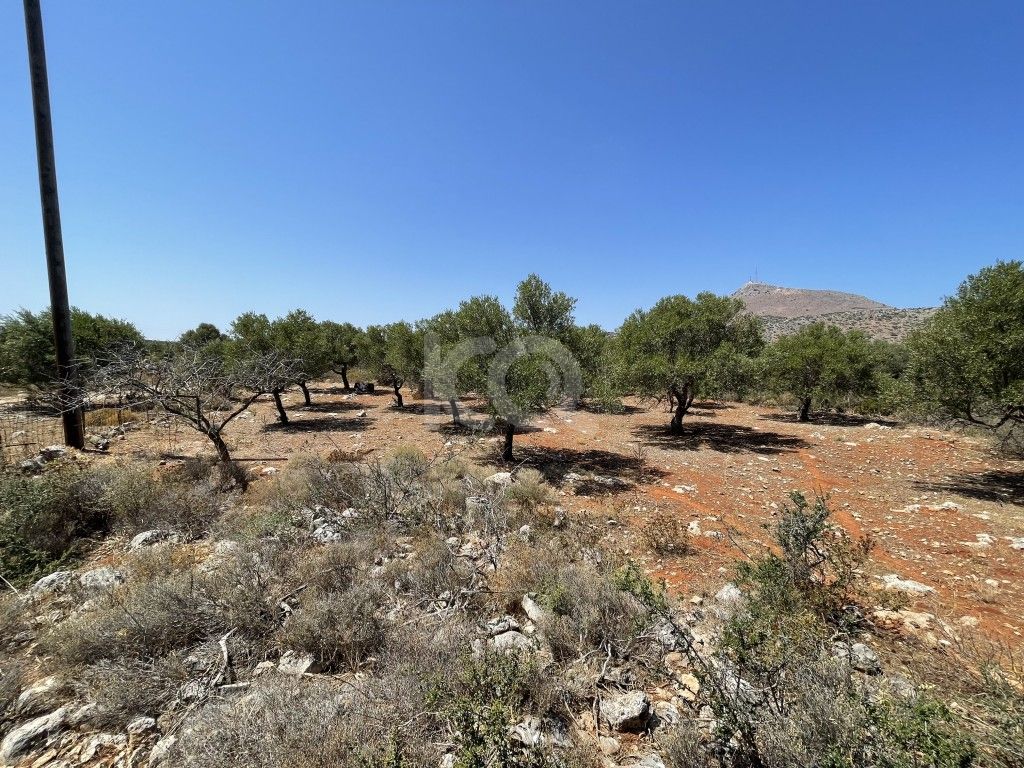 εικόνα αγγελίας