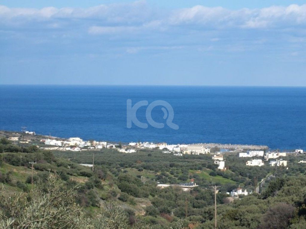 εικόνα αγγελίας