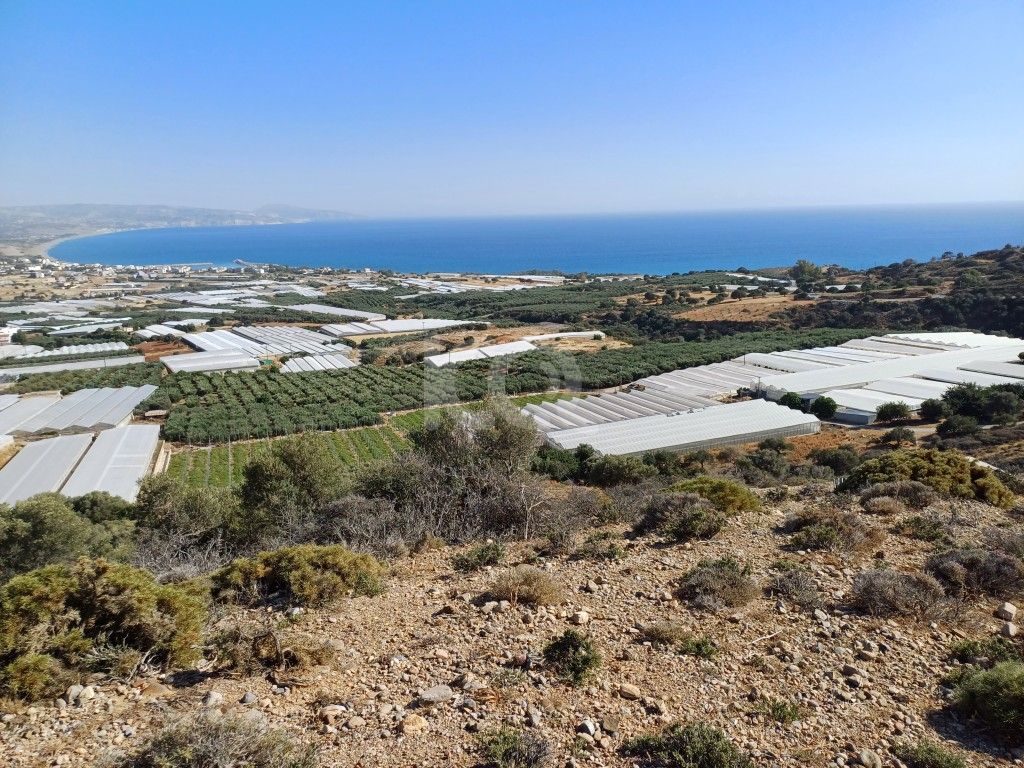 εικόνα αγγελίας