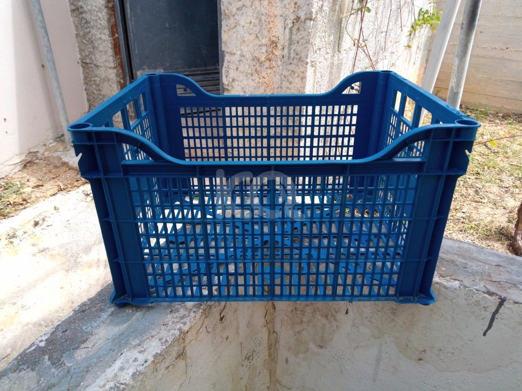 εικόνα αγγελίας