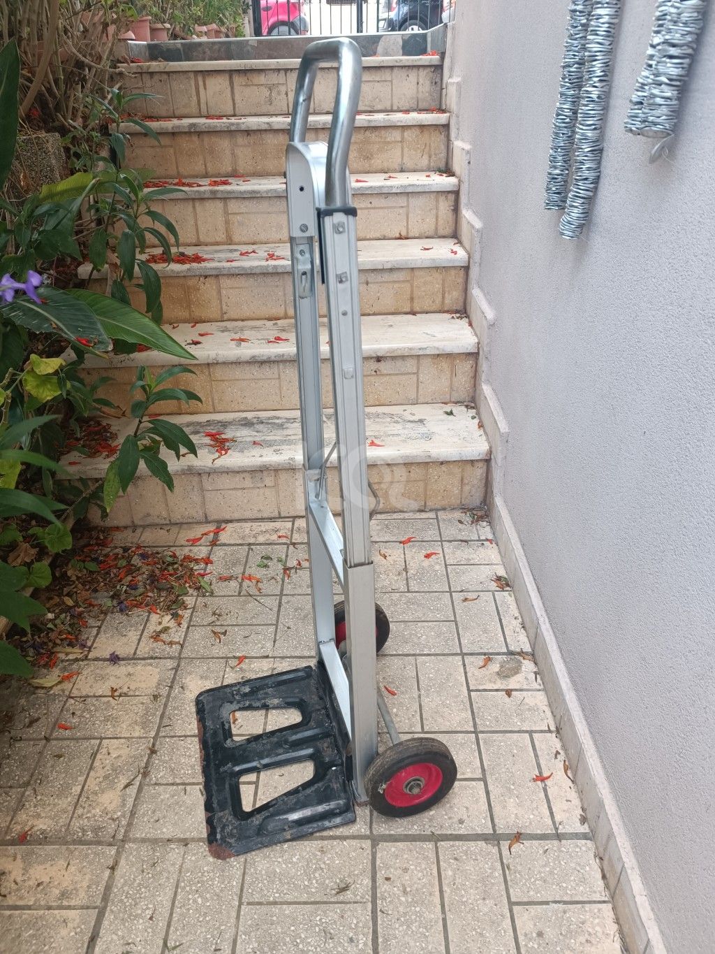 εικόνα αγγελίας